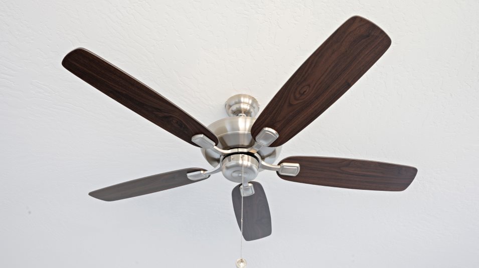 Celing fan 