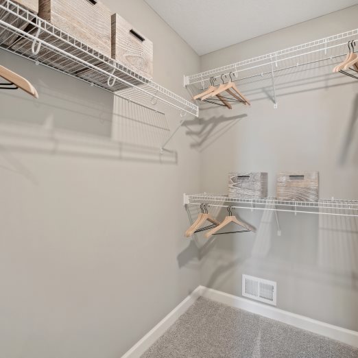 Madison Owners Walk in Closet
