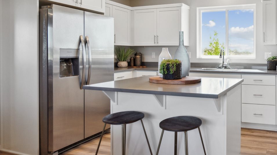 Stainless Steel Appliances