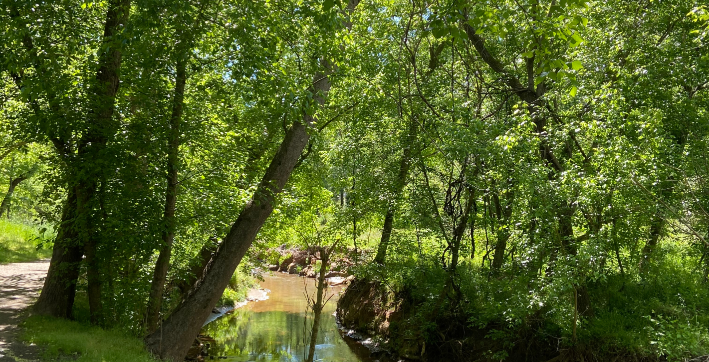 Statesville Trail