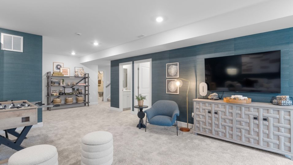 Lorton Optional Recreation
