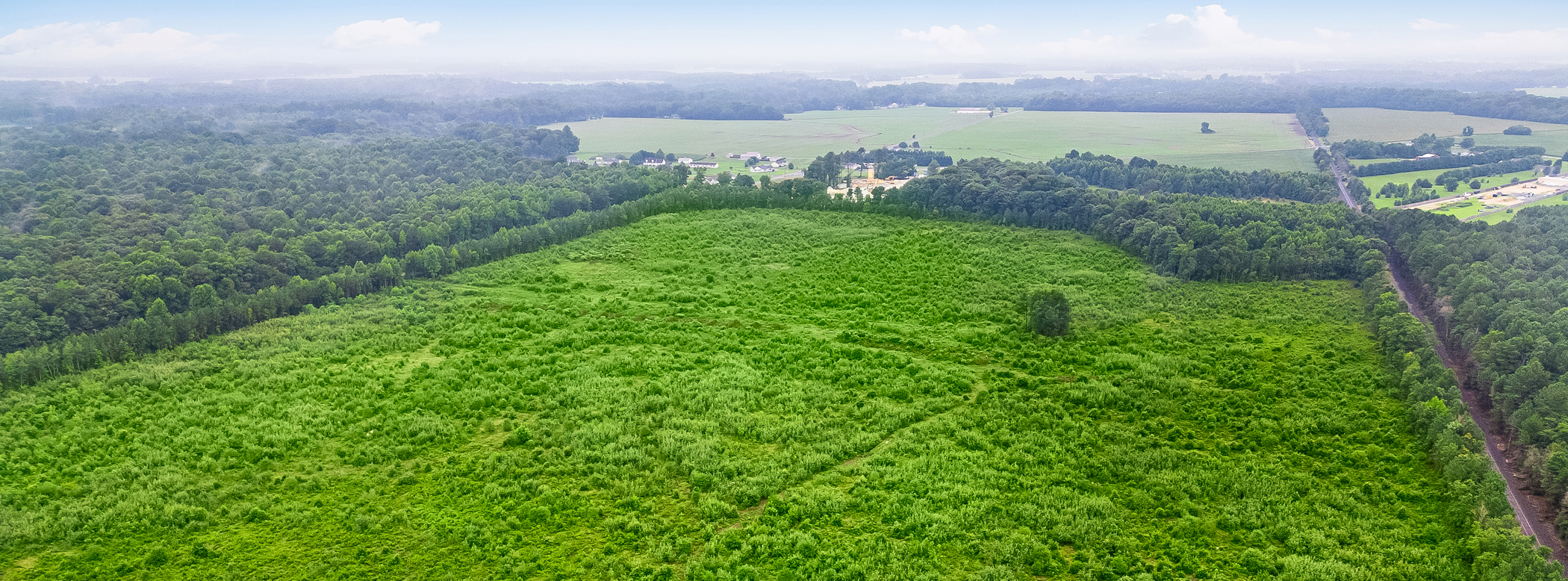 Forest Landing Aerial 14of15