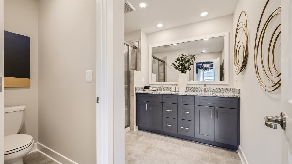 Ellicott Owner's Suite