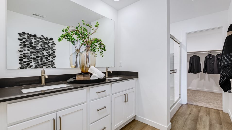 Plan 1870 Owner's Suite Bathroom