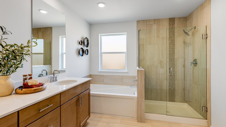 Sequoia II Owner's Suite