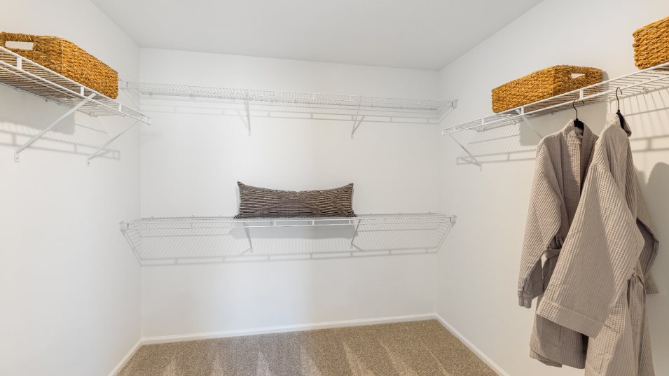 Sequoia II Owner's Suite