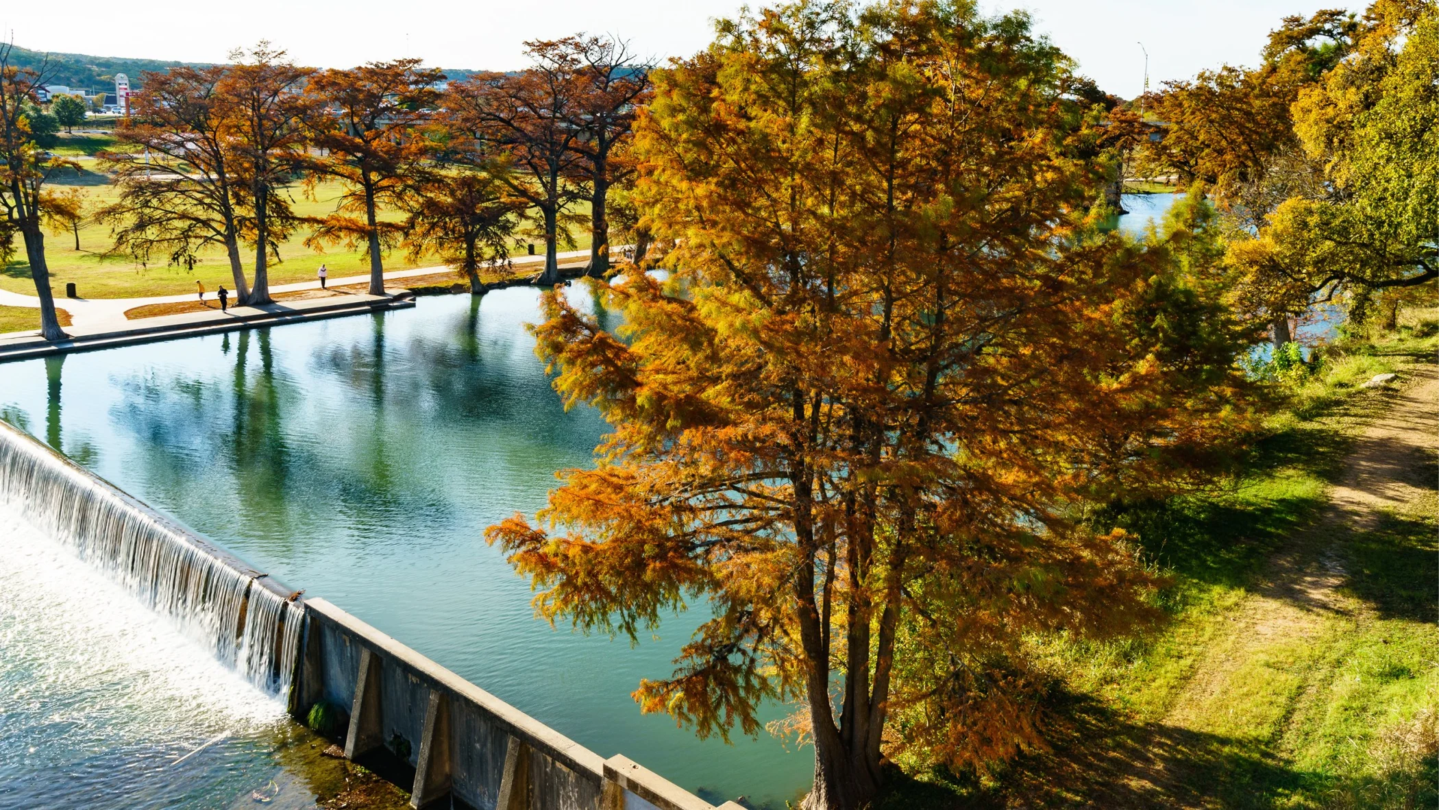 Park Stock Image