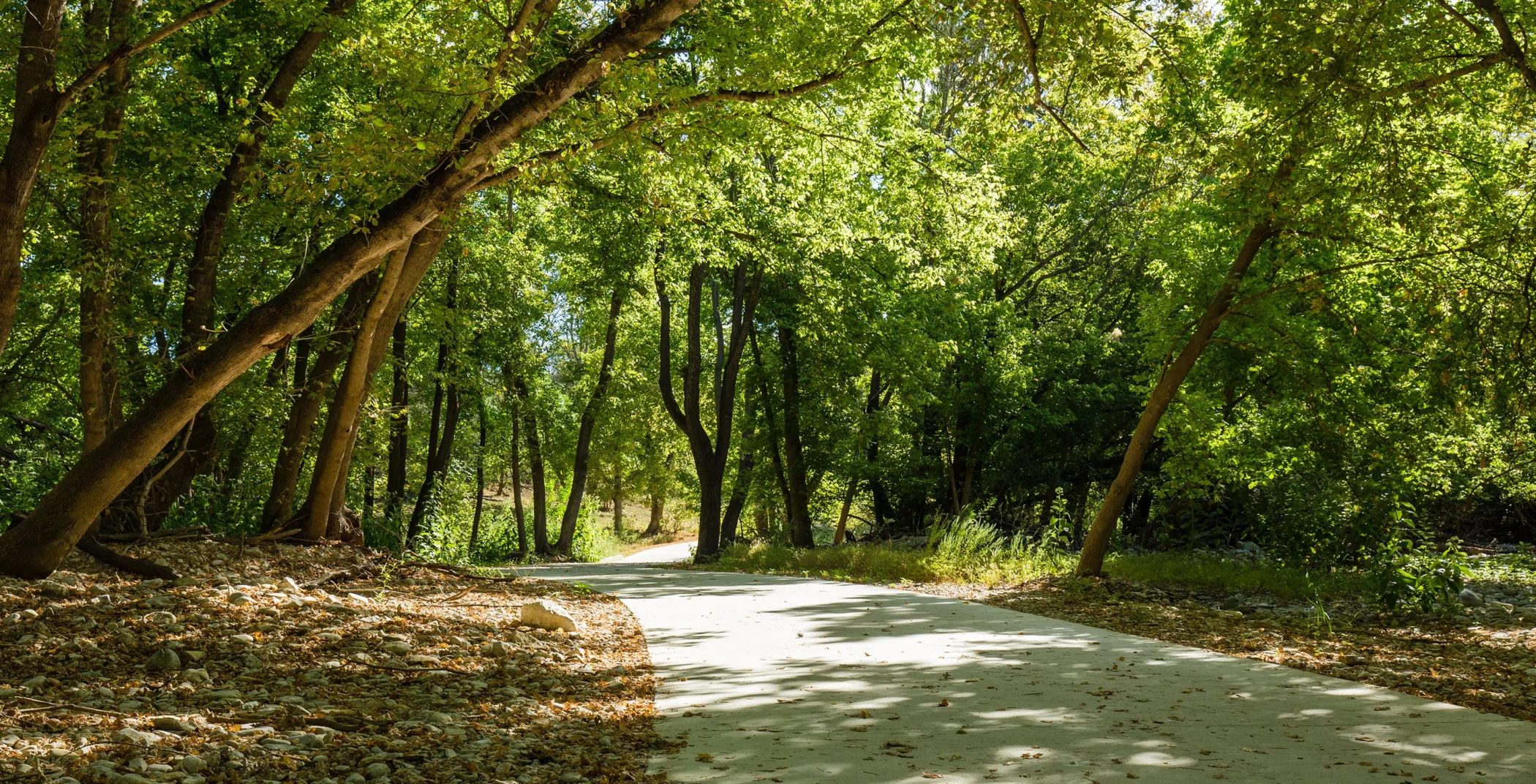 Park Stock Image