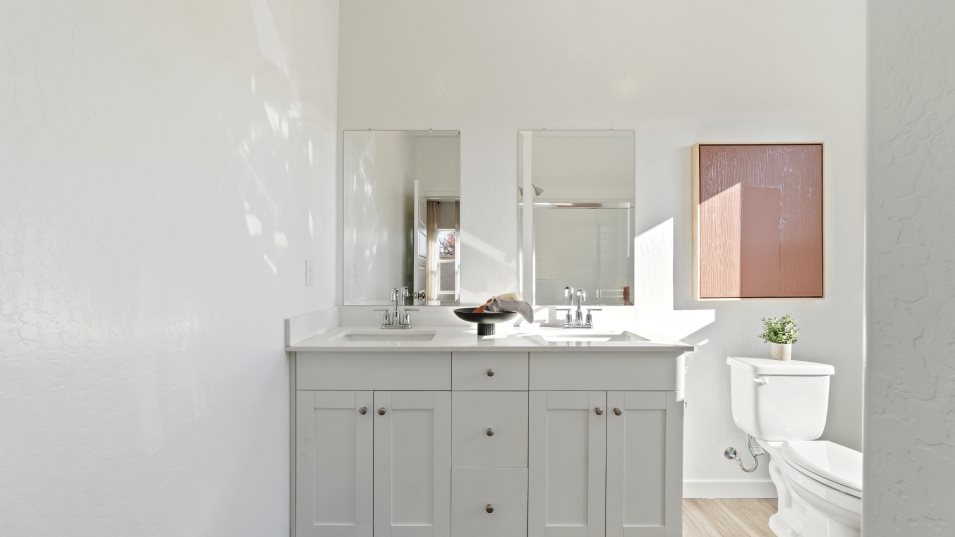 Jewel X owners bathroom