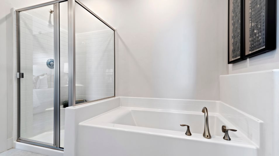 Owners bathtub