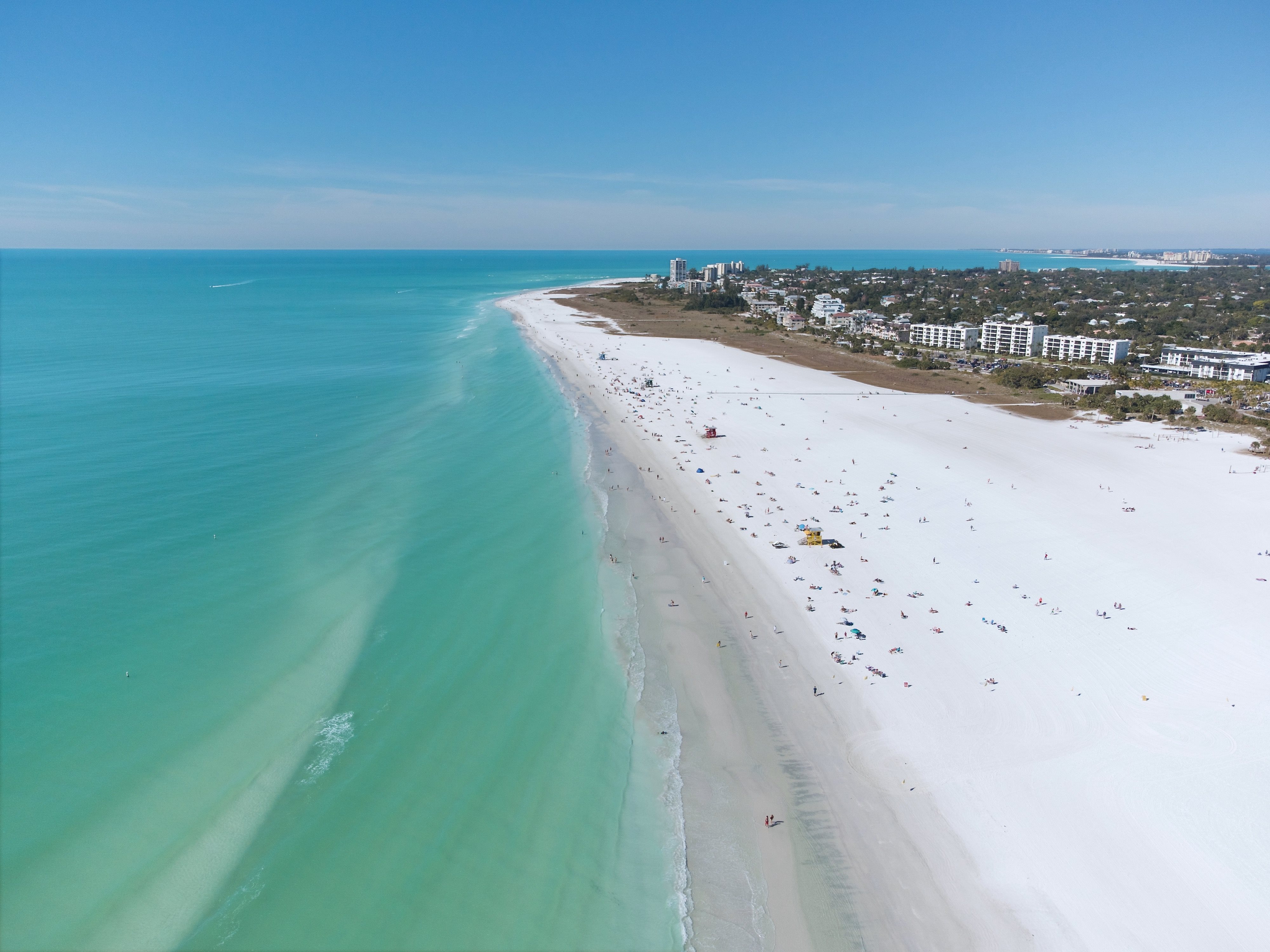 Sarasota Manatee Siesta Key Beach Photoshoot