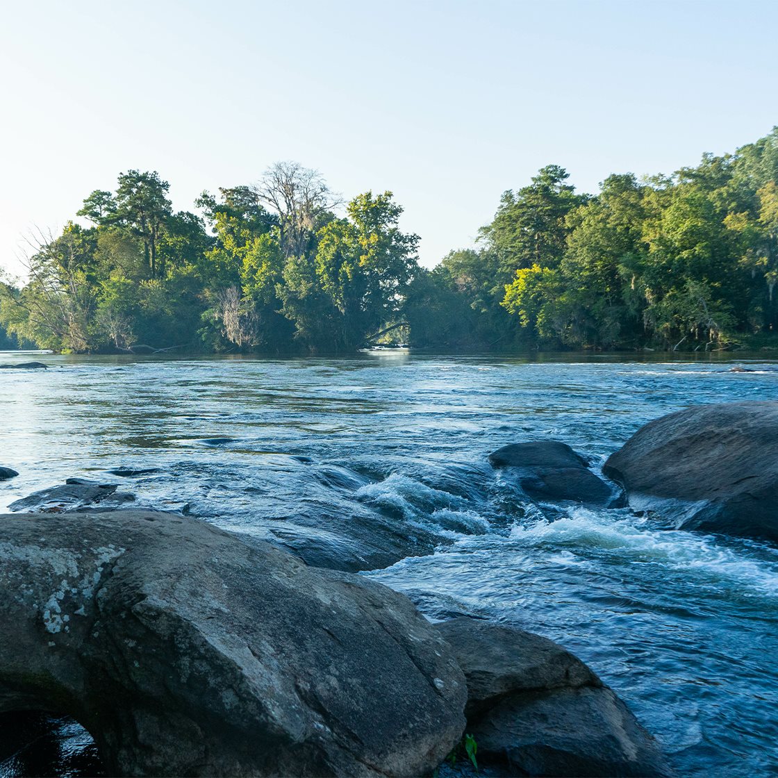 IMAGE: Saluda River