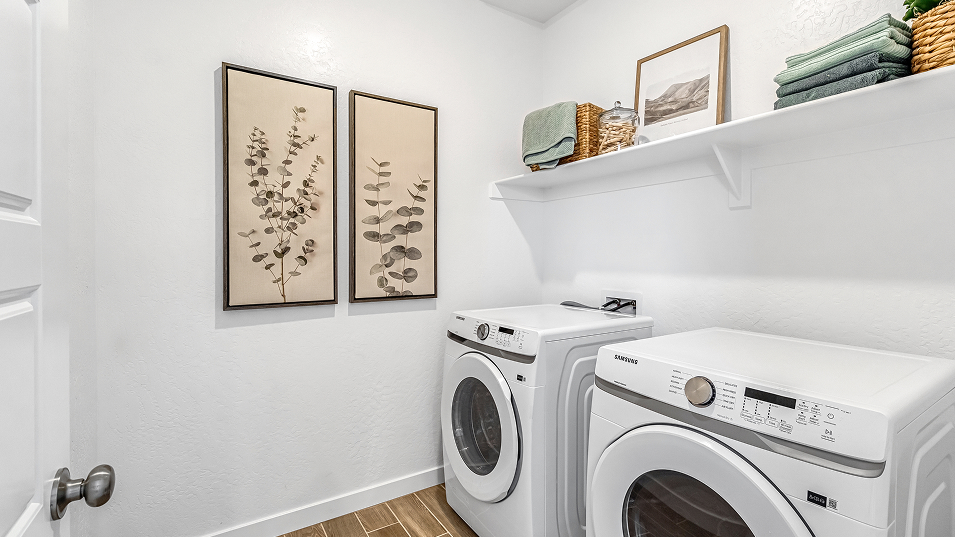 2503 Venus Laundry F2 Base3