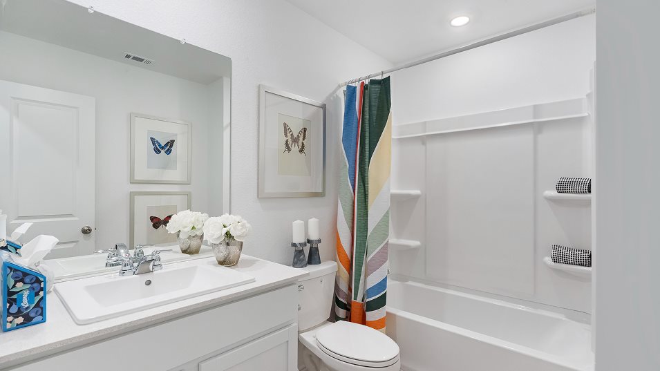 Ramsey Bathroom 2