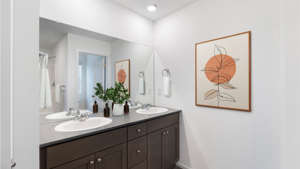Irving Owner's Suite Bathroom