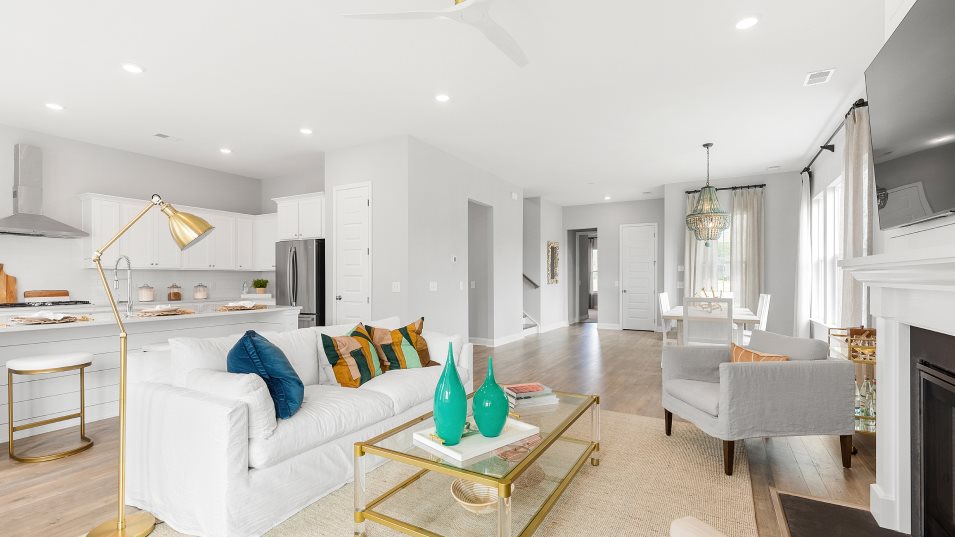 Tradd family room