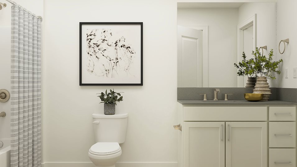 Plan 1217 Owners suite bathroom