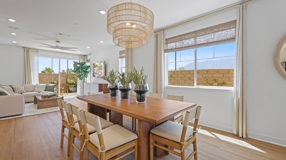 Olive 2X Dining Room