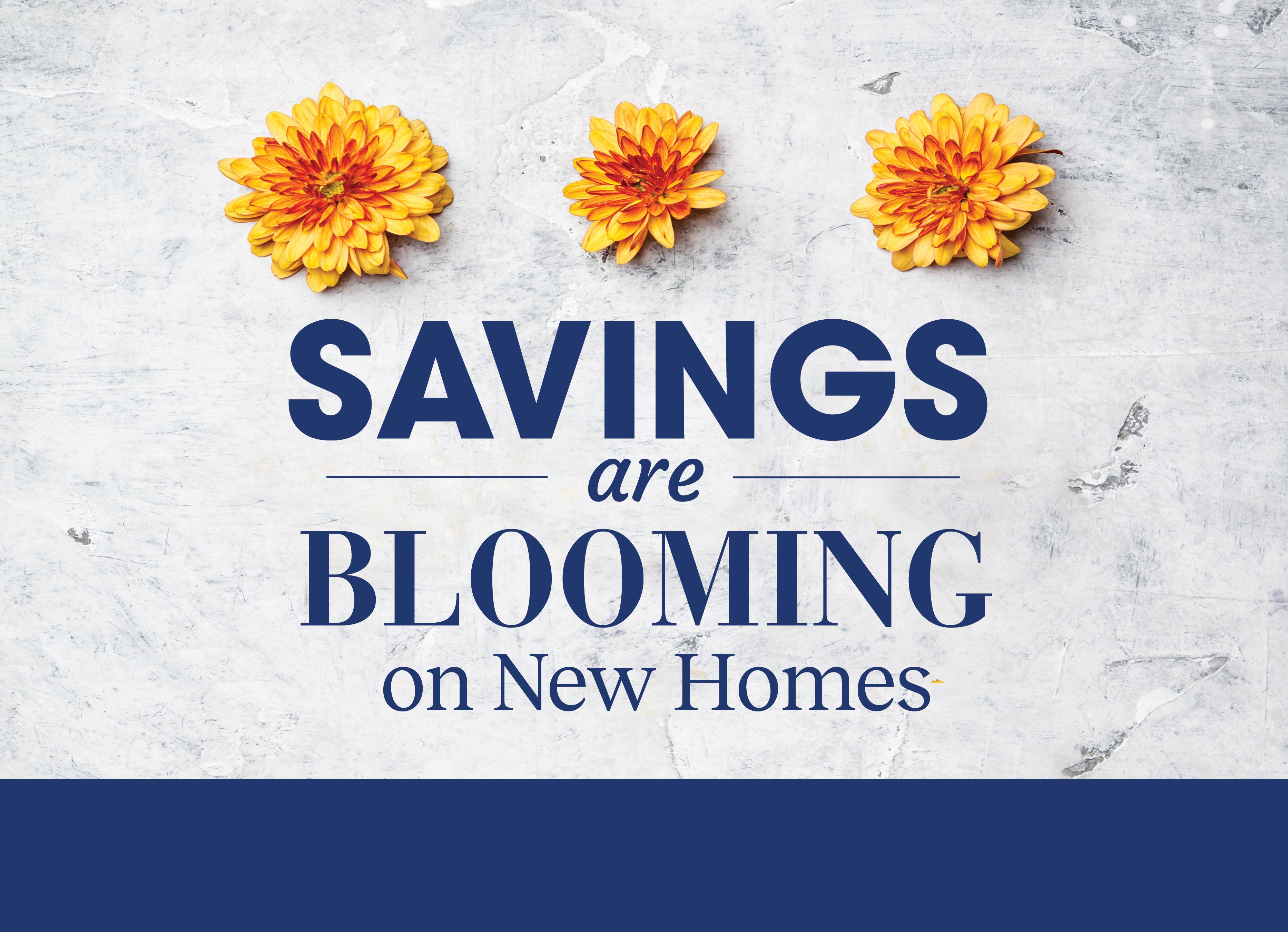 N Savings Are Blooming LPG 896x648 V1