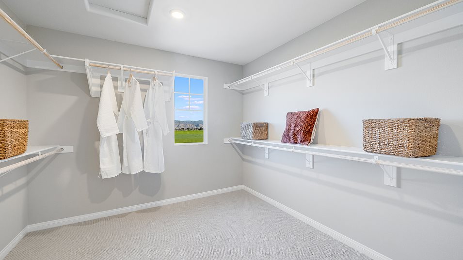 Residence 5 owners walk in closet