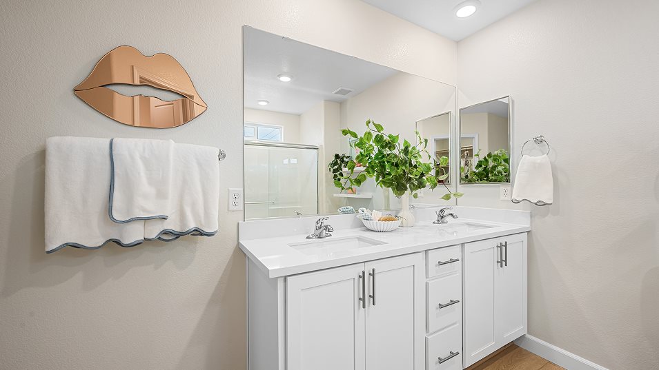 Andy Owner's Suite Bathroom