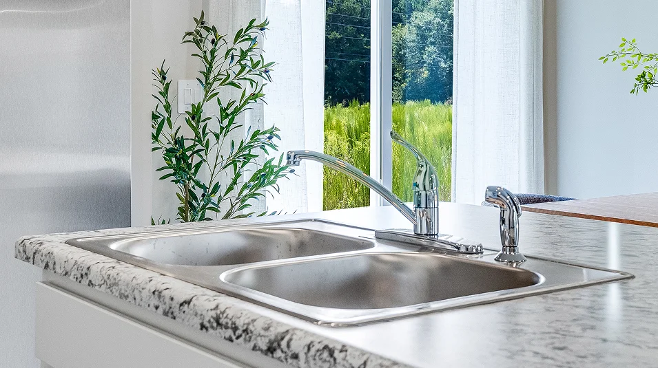 Mize Meadows EI Kitchen Sink F1