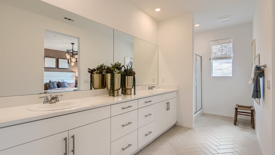 Owner's suite bathroom with dual sinks