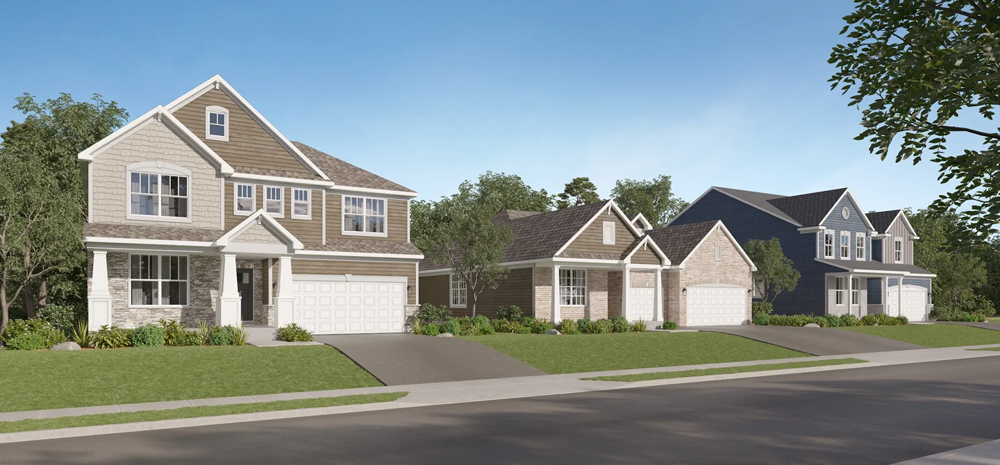 Algonquin Meadows Streetscape 071125