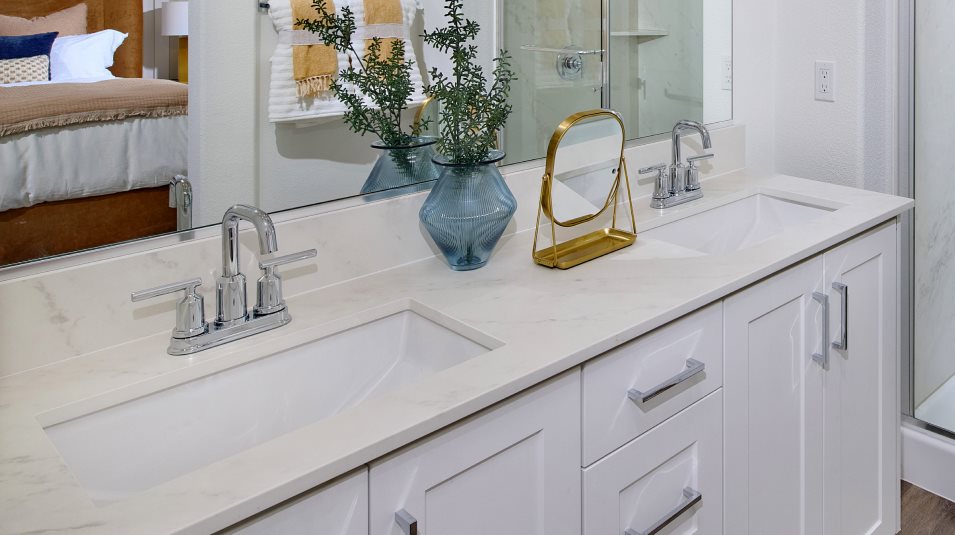 Owners dual sinks