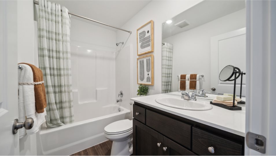 Damian Bathroom 2