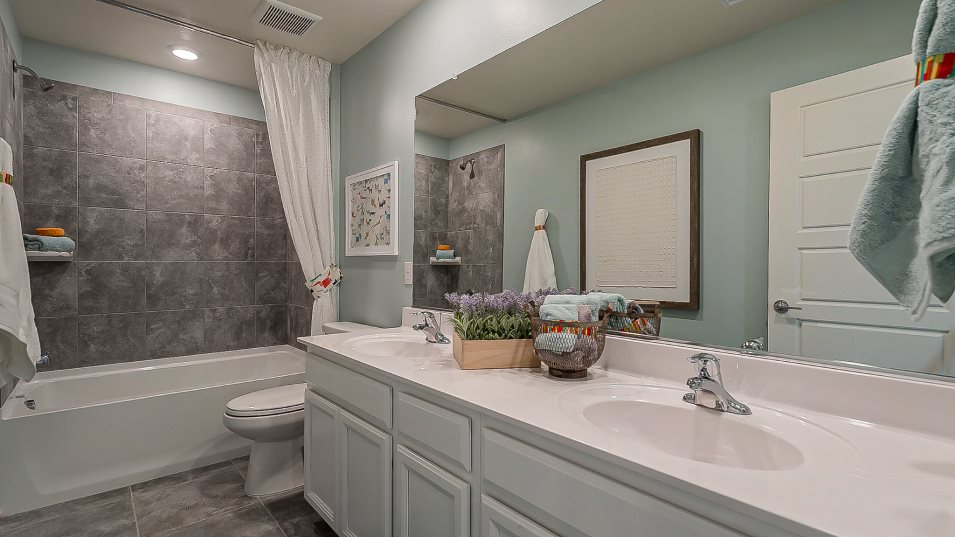 Wayfarer Bathroom 2
