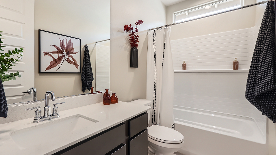 4083 Revolution Bath2 F1 Base10