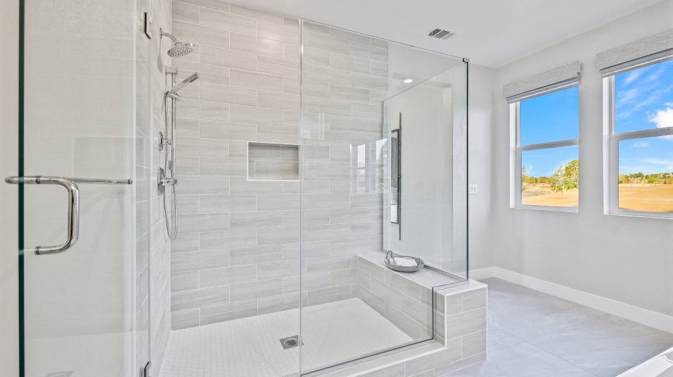 Glass-enclosed shower