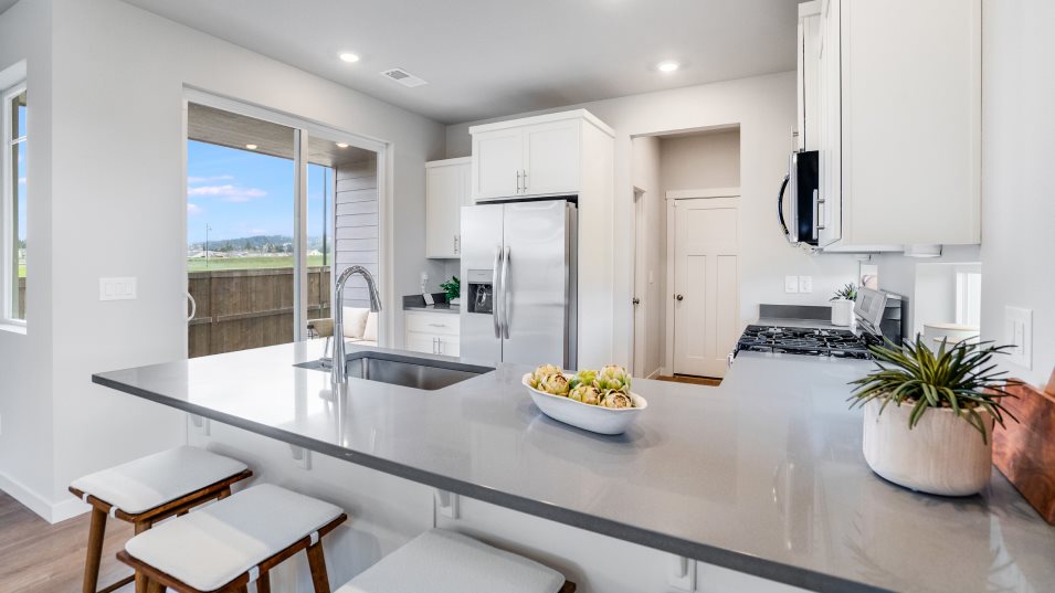 Conifer Kitchen