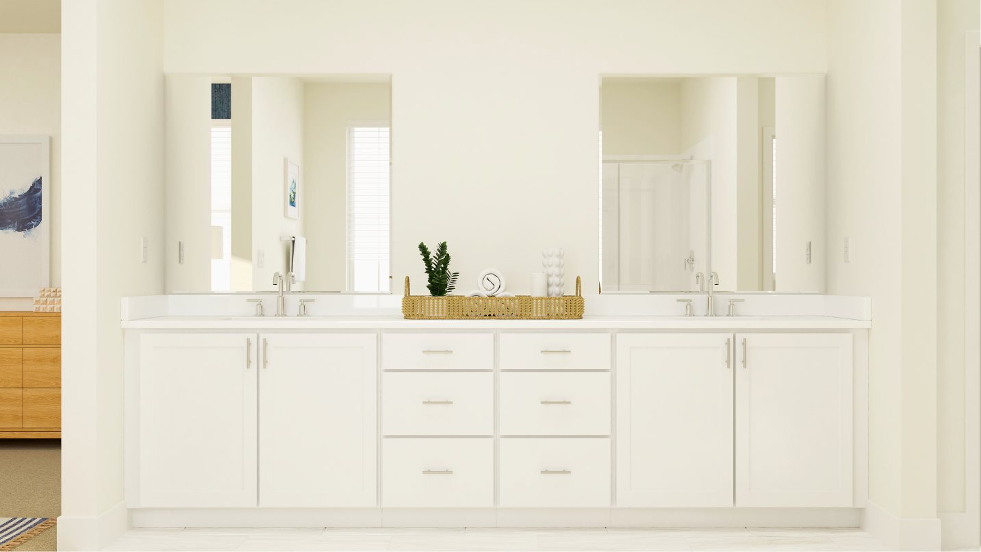 Owners bathroom sinks
