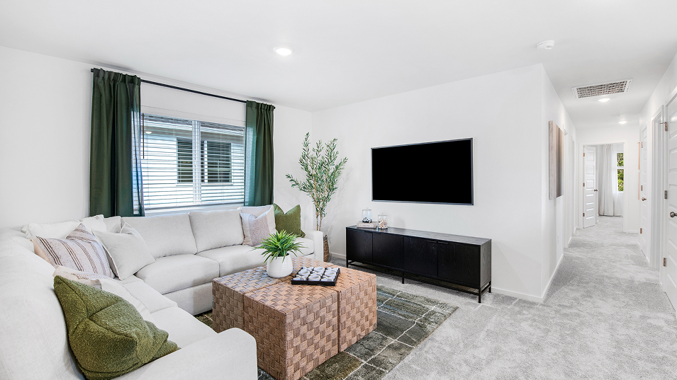 2213 Hazelwood Bonus 2of3 F2 Base3