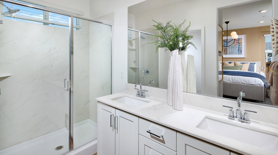 dual sinks