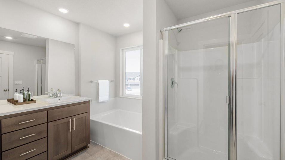 Owner's Bathroom