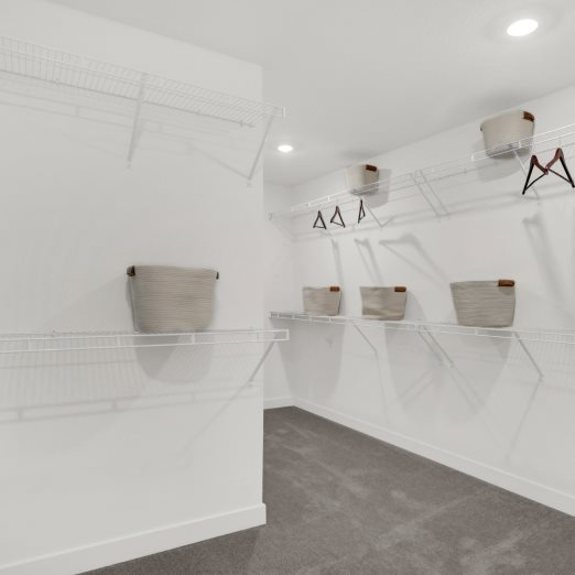 Owners Walk in Closet