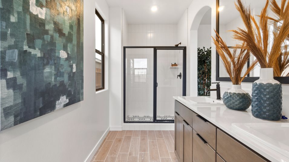 Arroyo owners bathroom
