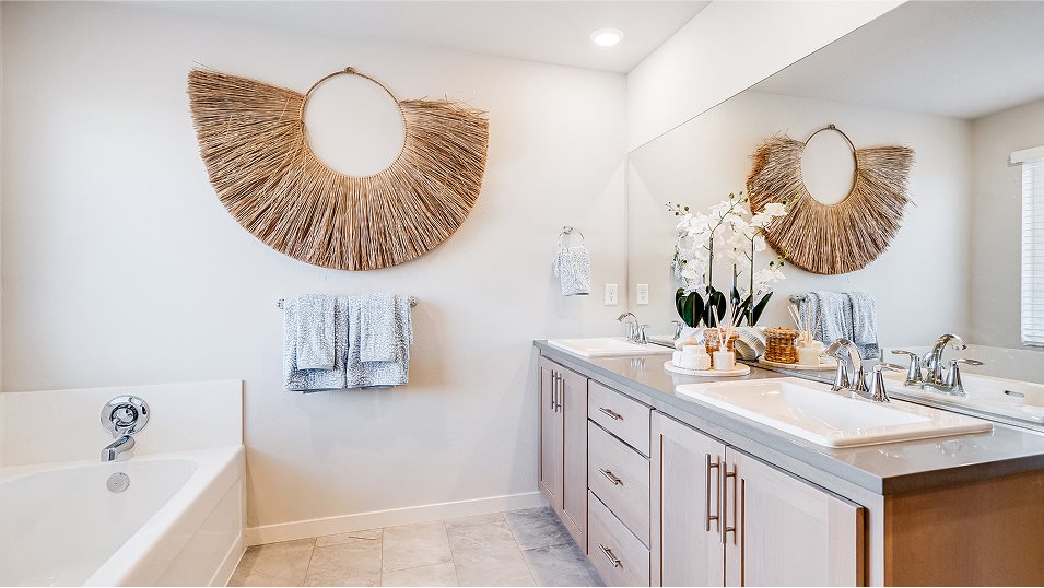Mckenzie owners suite tub and vanity
