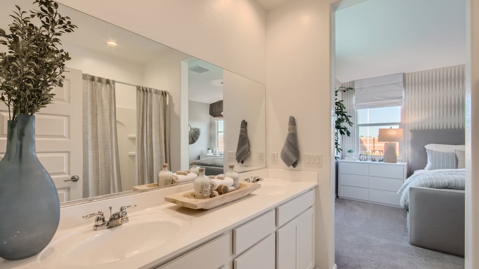 Owner's Bathroom