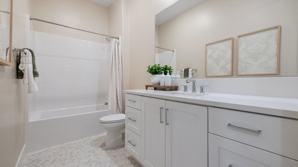 Bath3 with combo shower tub