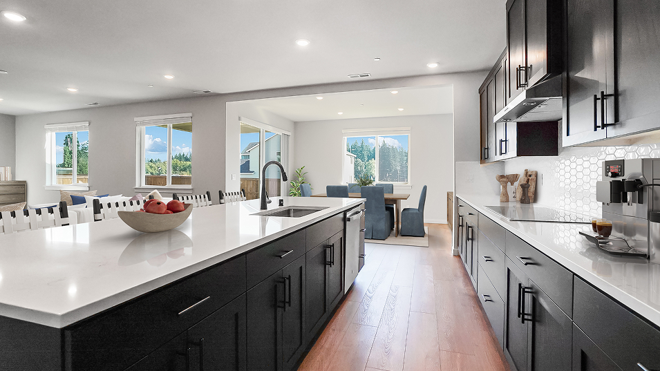 3249 Rochester Kitchen 2of3 F1