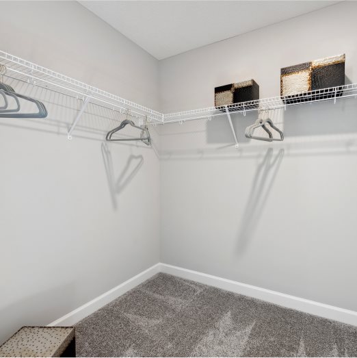 Taylor Owners Walk in Closet