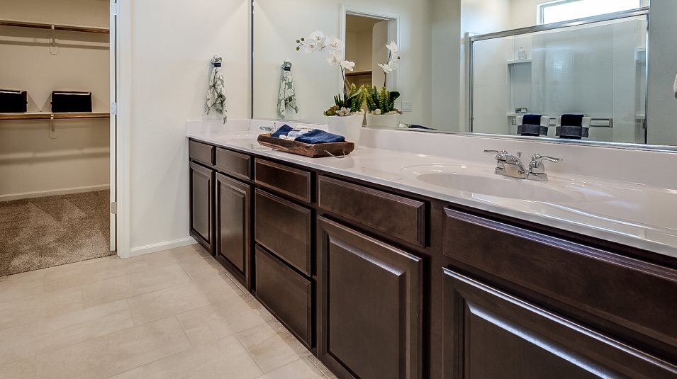 Owners Bath vanity