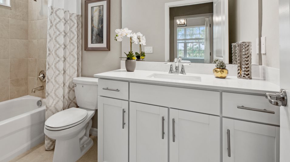 Bathroom overivew
