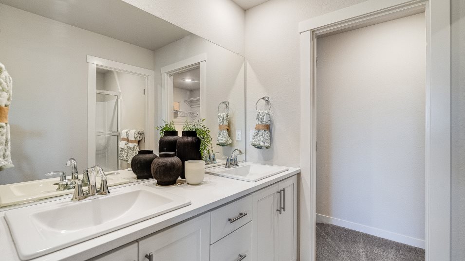 Orion Owners Suite Bathroom