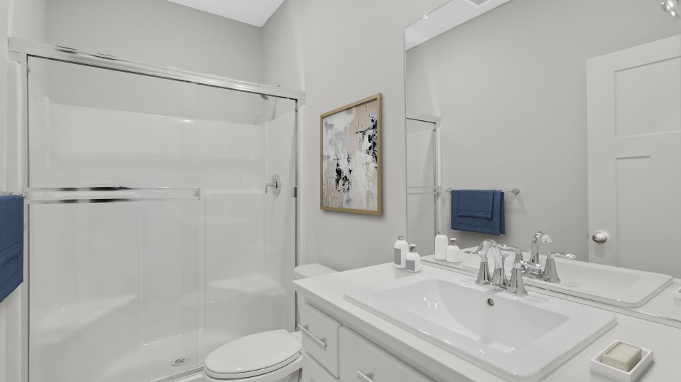Bainbridge NextGen Bathroom