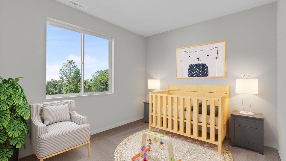 Bainbridge Next Gen Suite